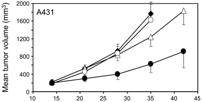 In Vivo Transfection - A431